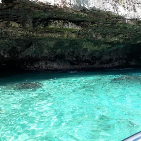 Star House * 加利亚诺德尔卡波